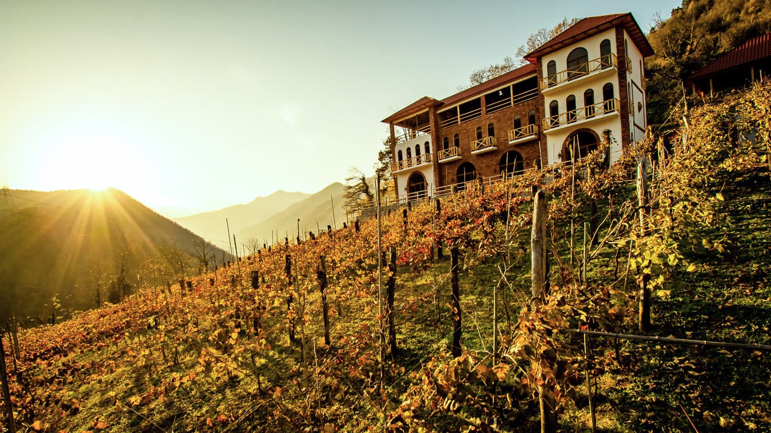 Khachapuri: A Guide to Regional Varieties