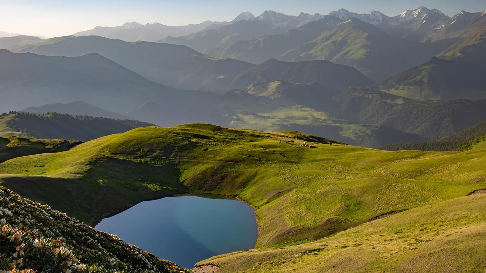 Tusheti